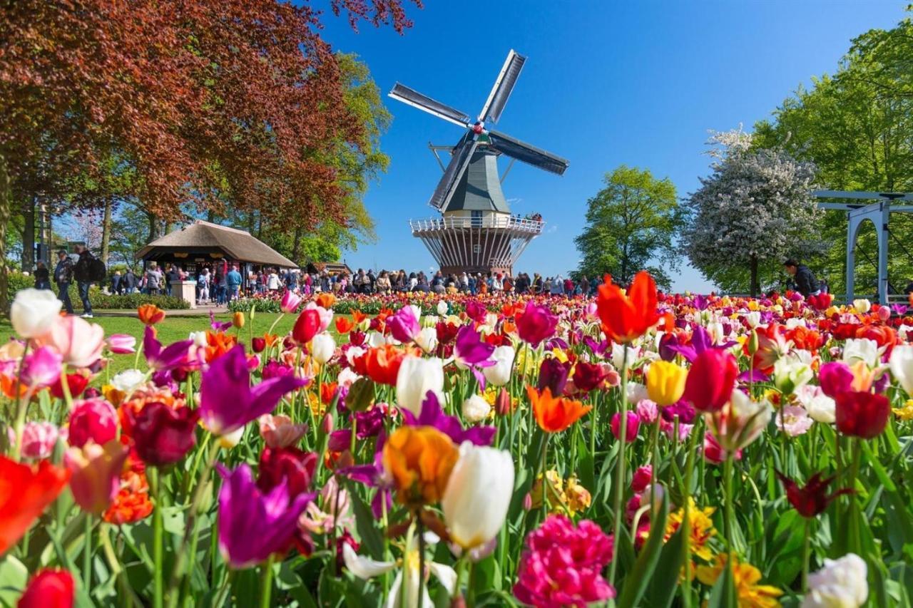 Magnificent Farmhouse In Central Holland 4A & 2C Schoonrewoerd エクステリア 写真